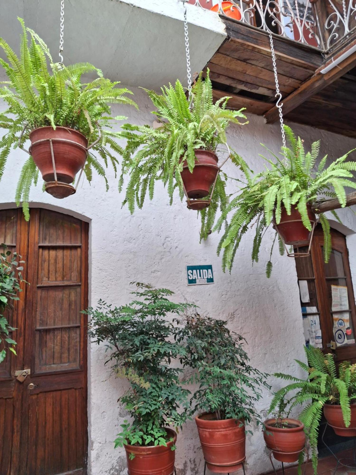 ארקוויפה Hostal Lluvia De Oro מראה חיצוני תמונה